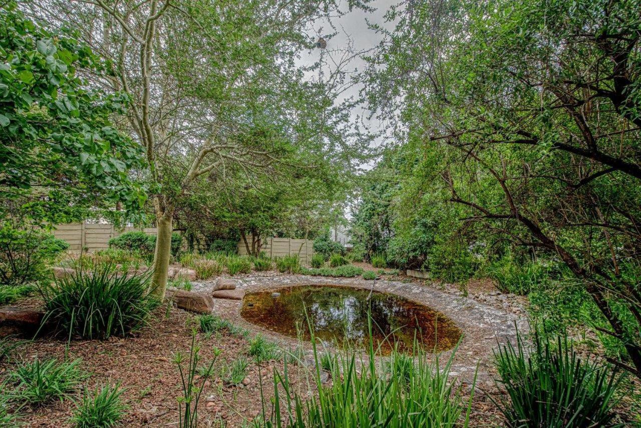 Wild Olive Executive Suite Johannesburg Exterior foto