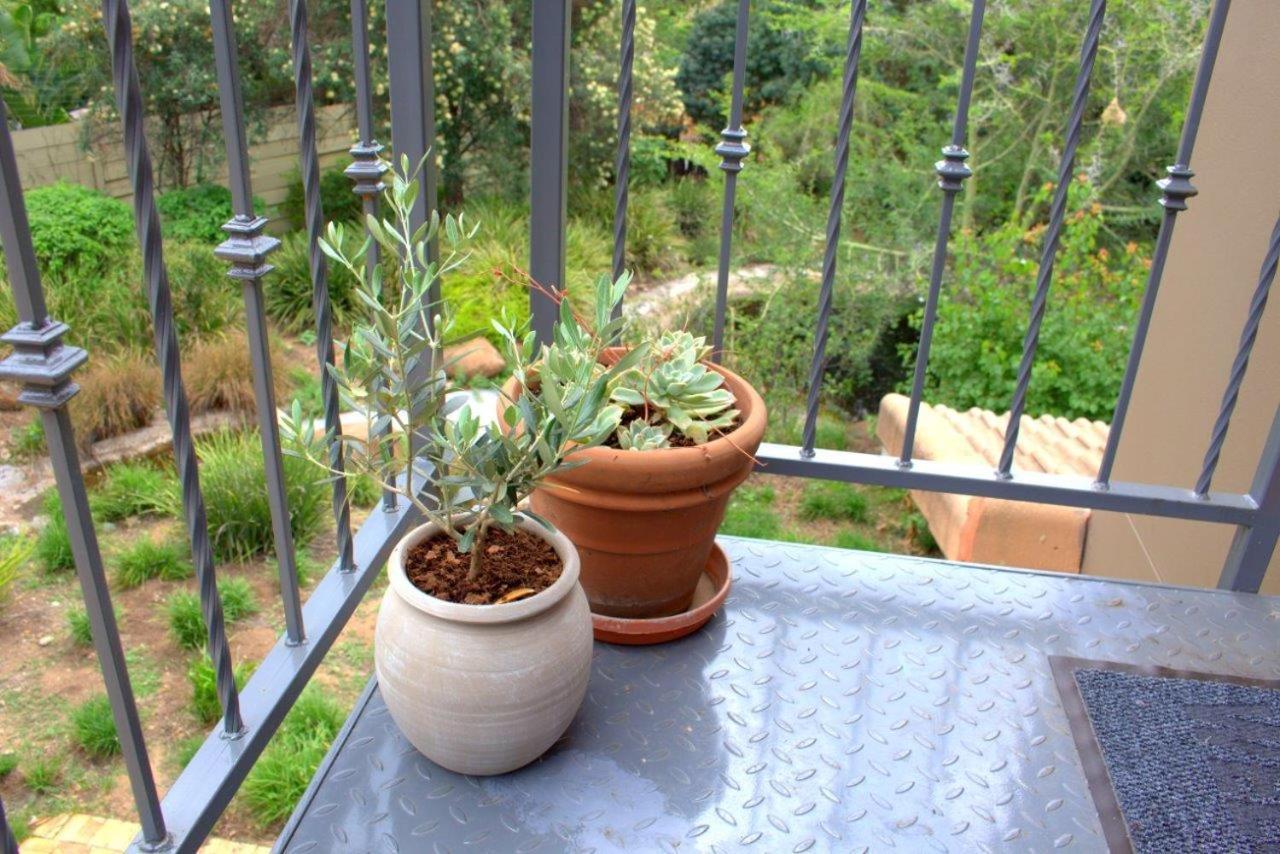 Wild Olive Executive Suite Johannesburg Exterior foto