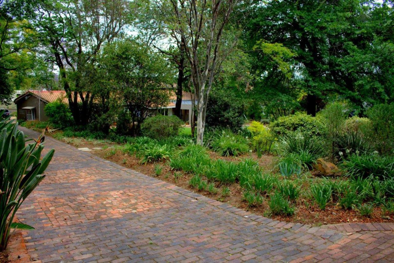 Wild Olive Executive Suite Johannesburg Exterior foto