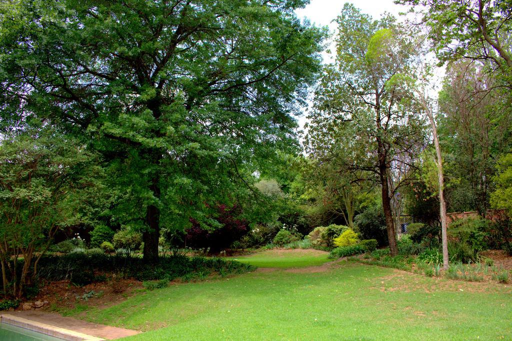 Wild Olive Executive Suite Johannesburg Exterior foto