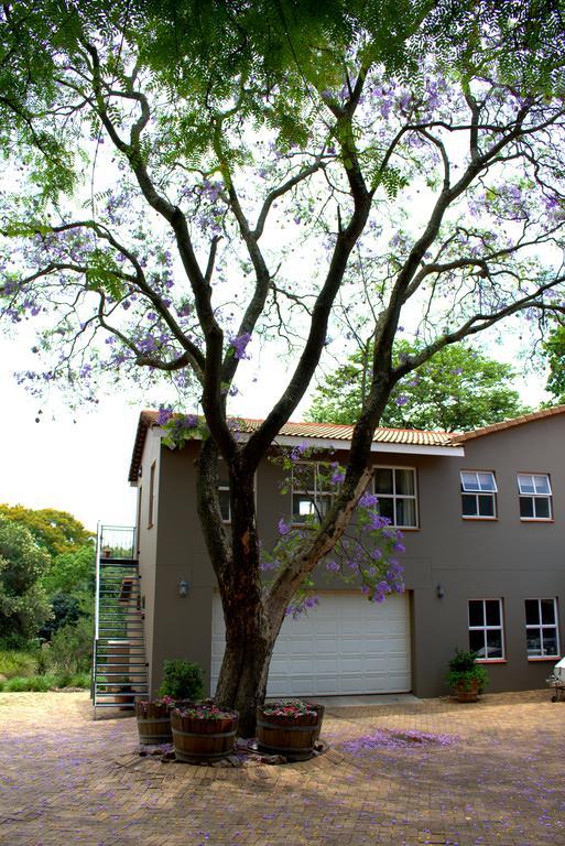 Wild Olive Executive Suite Johannesburg Exterior foto
